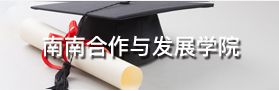 南南合作与发展学院