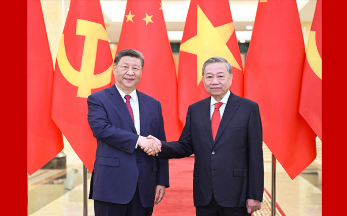 习近平同越共中央总书记苏林举行会谈