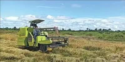中国援塞农业专家组助力塞拉利昂早日实现粮食自给自足