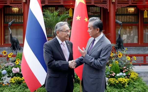 王毅同泰国副总理兼外长敦举行会谈