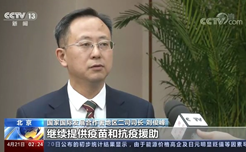 国际发展合作署地区二司刘俊峰司长接受中央广播电视总台采访实录